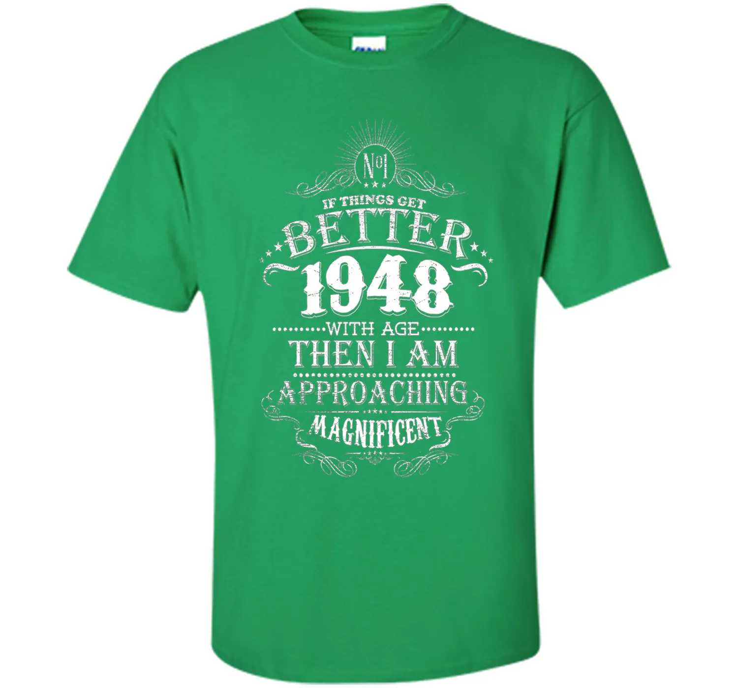69 Years Old 1948 Vintage Awesome T-Shirt Gift Birthday