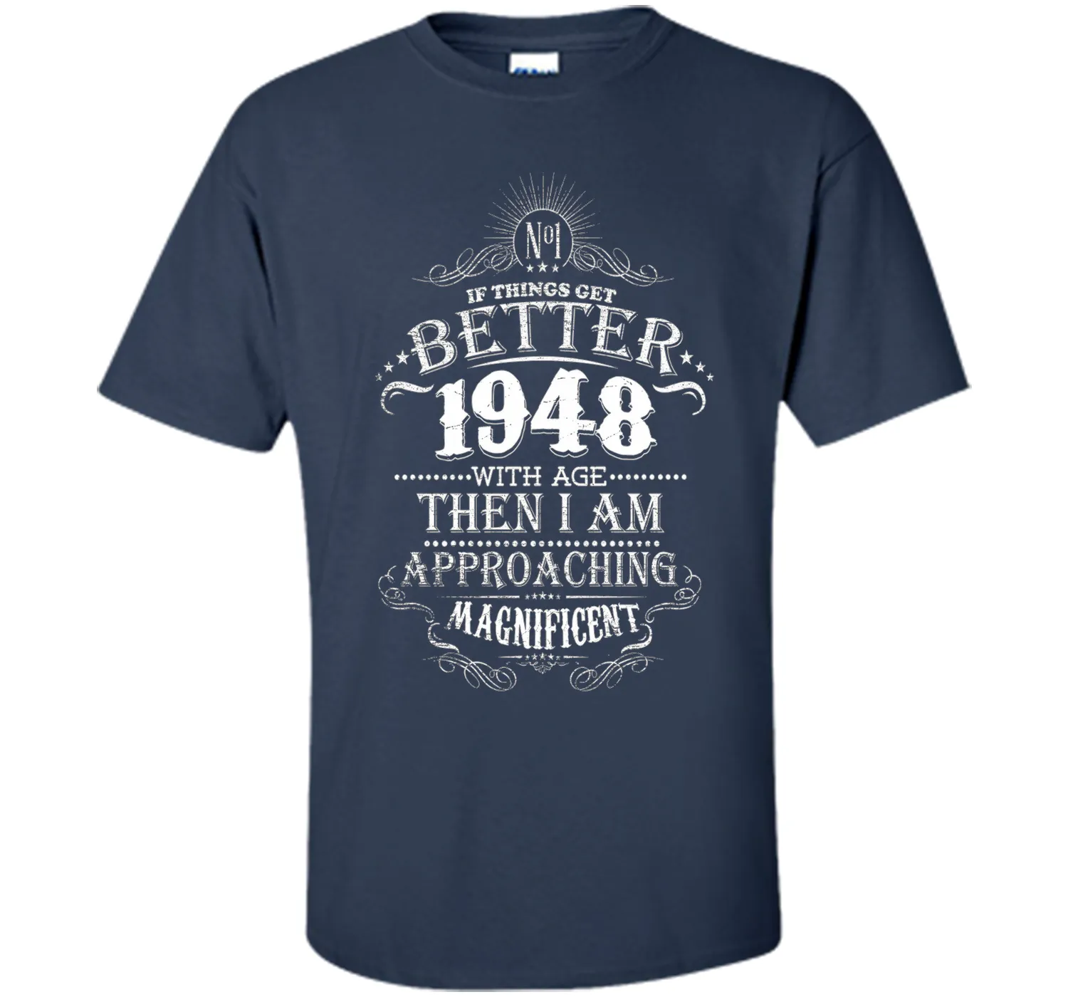 69 Years Old 1948 Vintage Awesome T-Shirt Gift Birthday