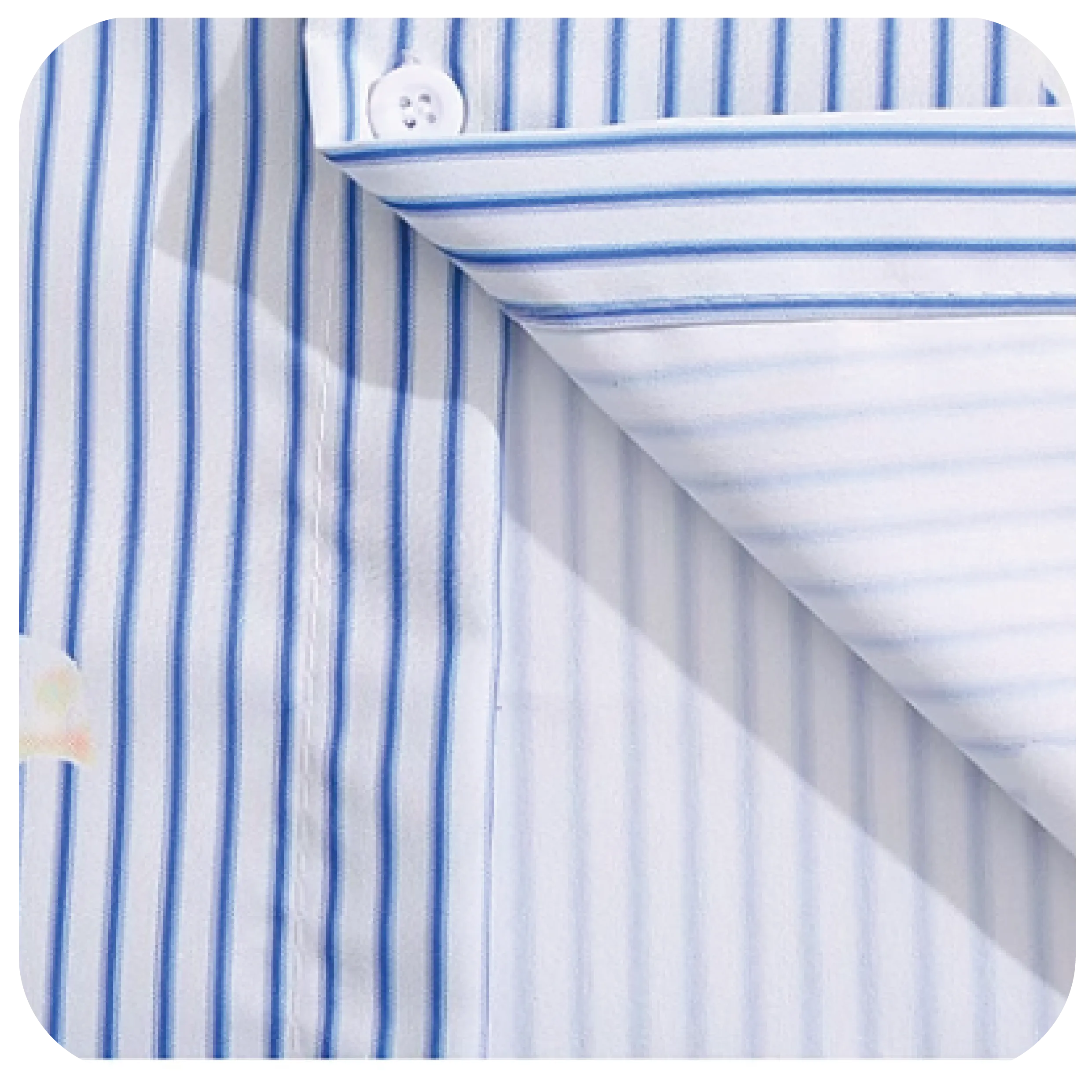 Bird Design Fresh Shirt