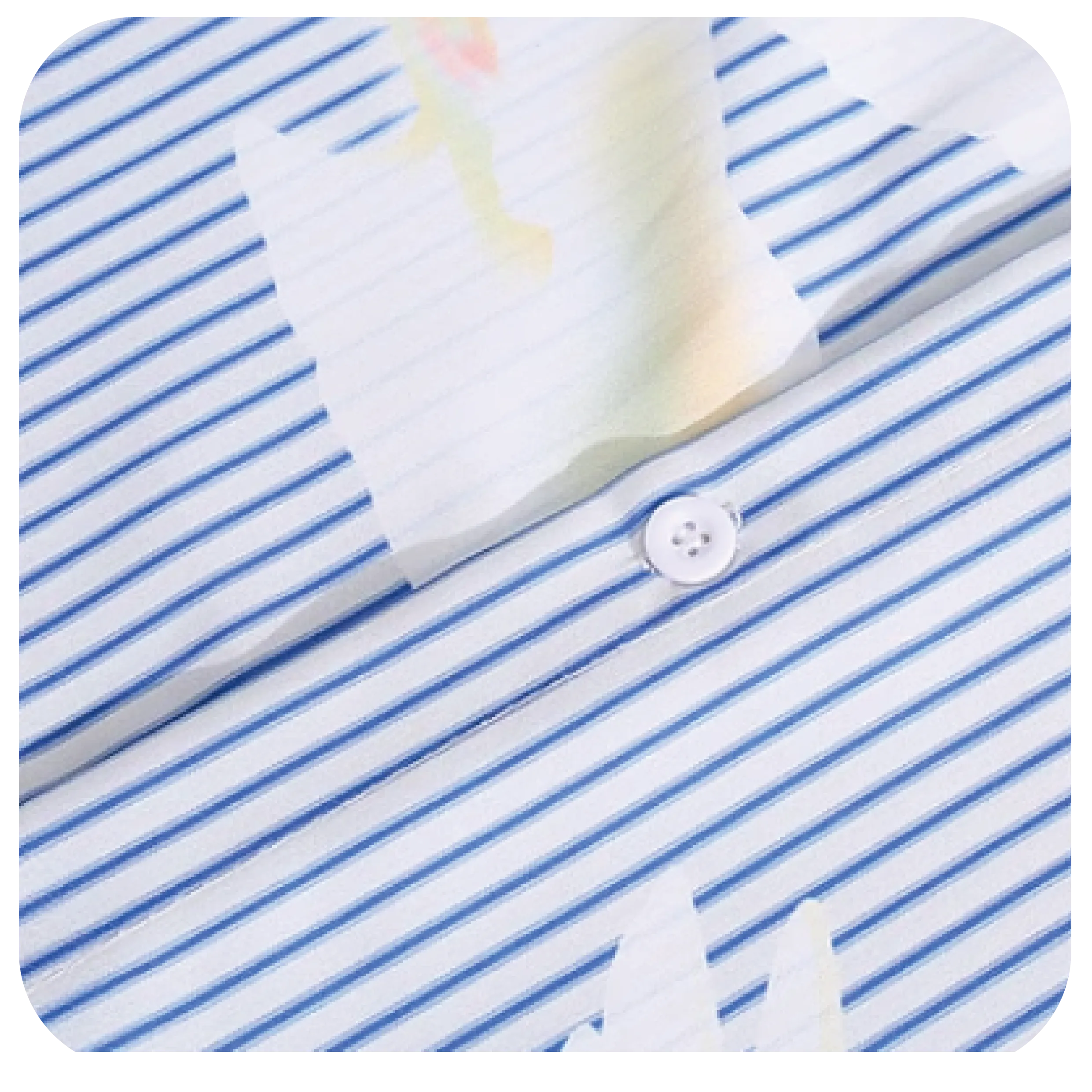 Bird Design Fresh Shirt