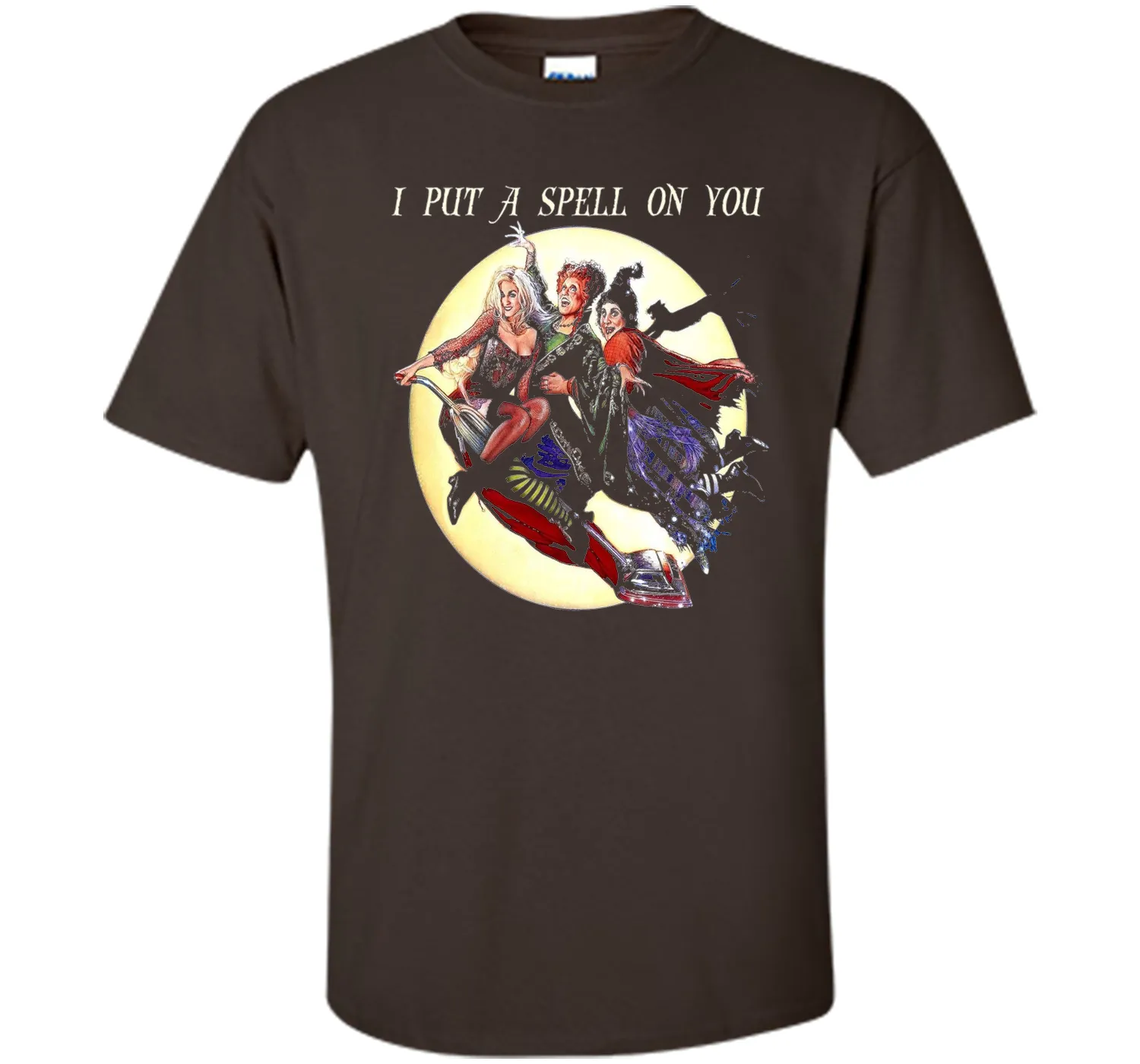 Hocus &amp; Pocus I Put A Spell On You Halloween T-Shirt