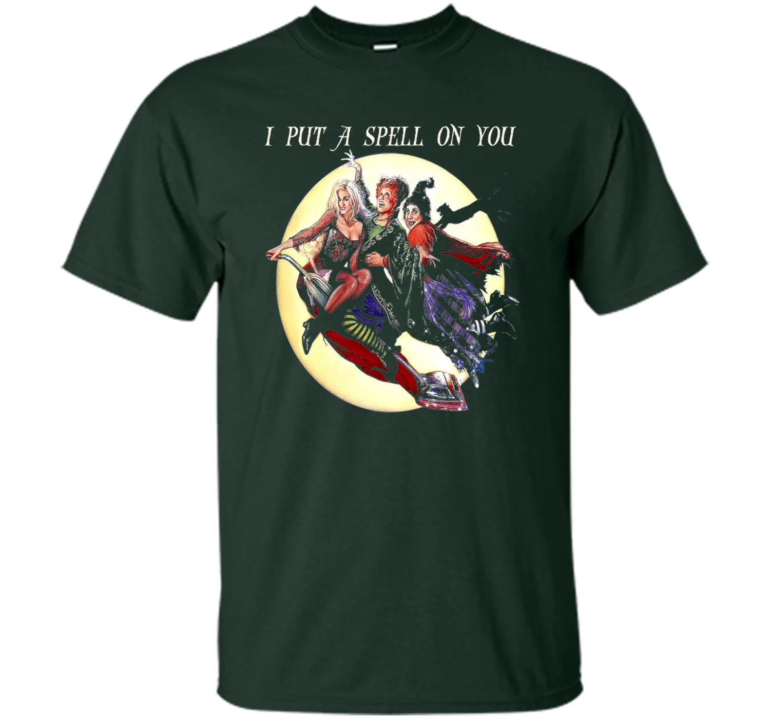 Hocus &amp; Pocus I Put A Spell On You Halloween T-Shirt