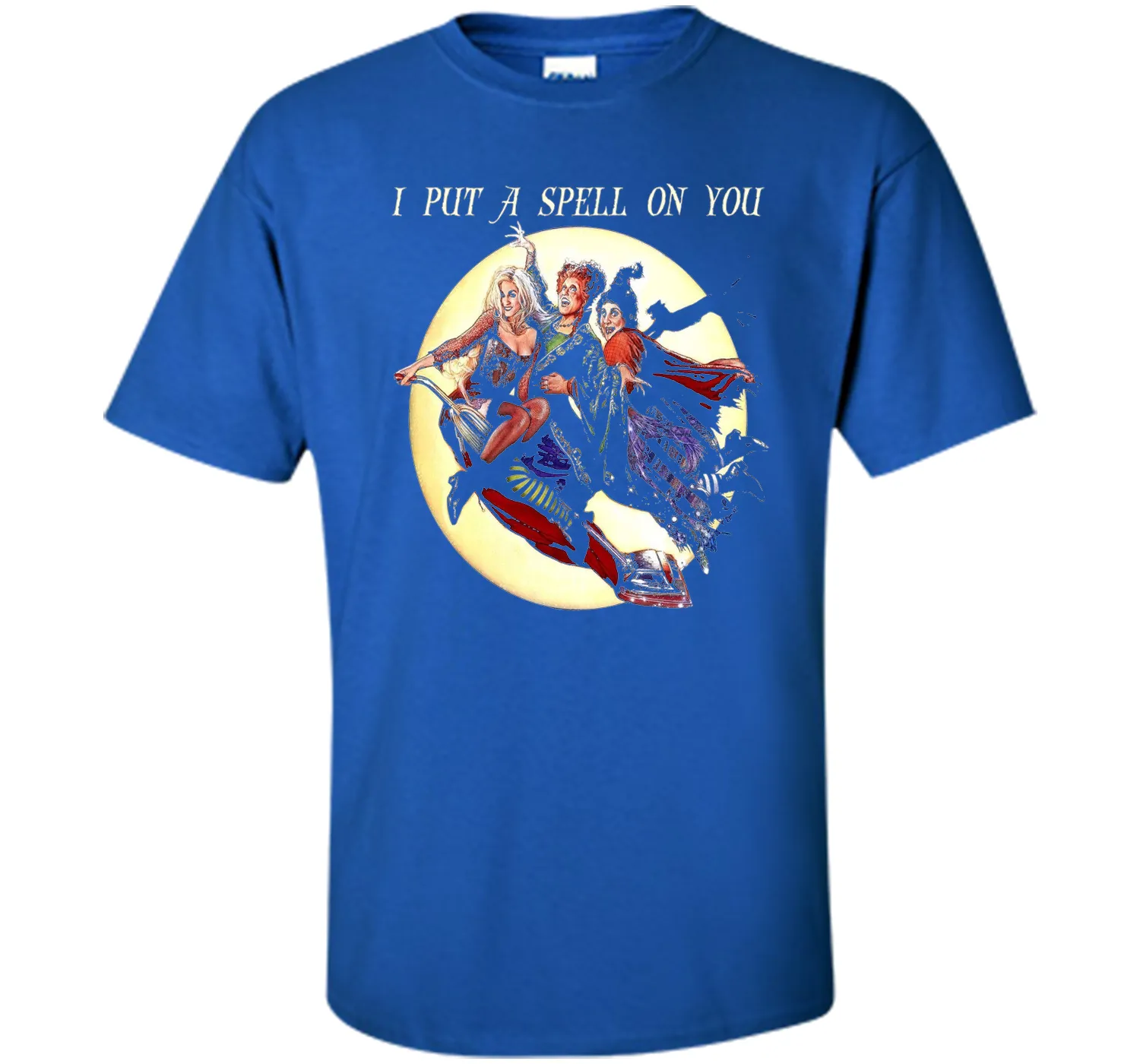 Hocus &amp; Pocus I Put A Spell On You Halloween T-Shirt