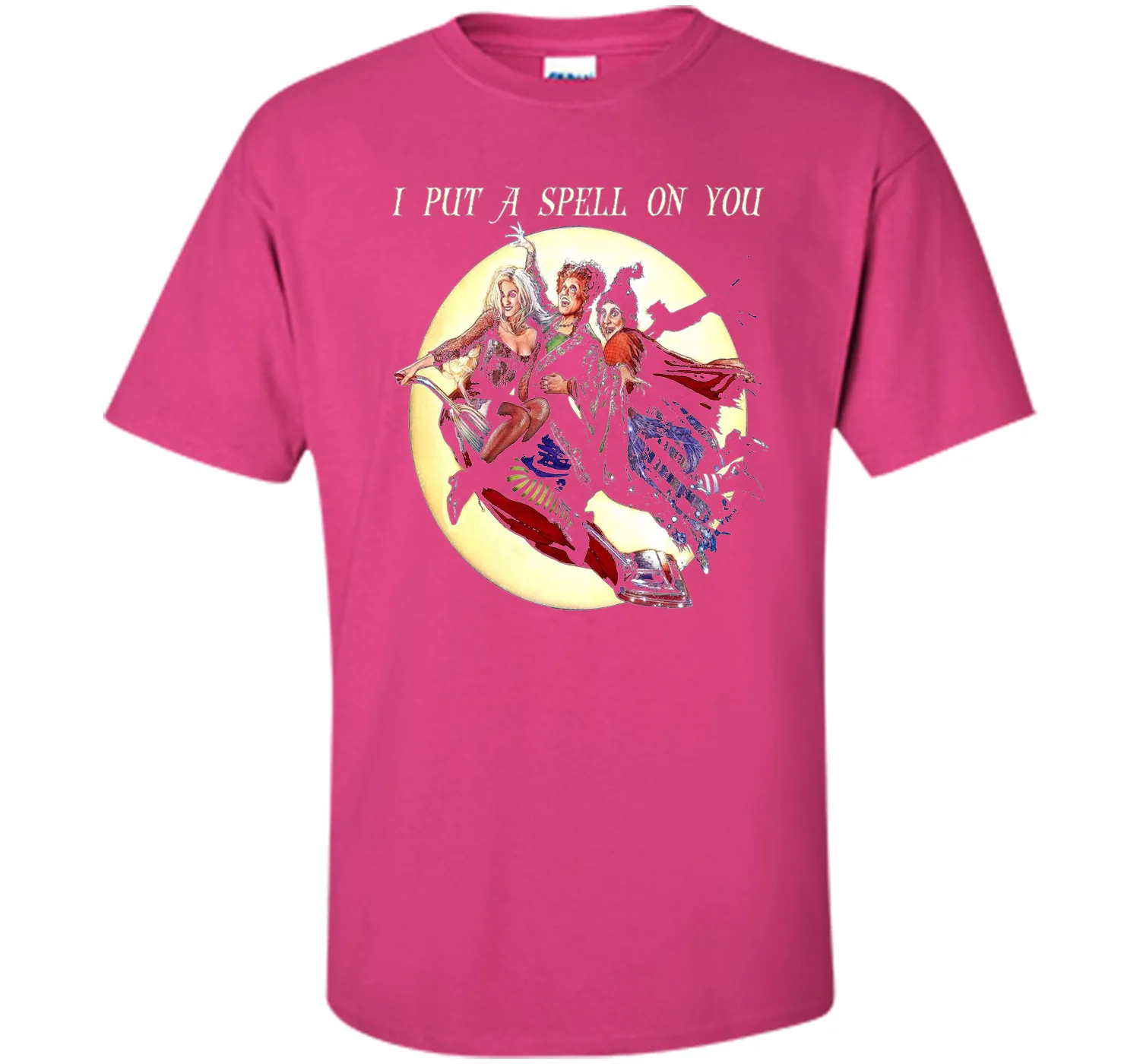 Hocus &amp; Pocus I Put A Spell On You Halloween T-Shirt