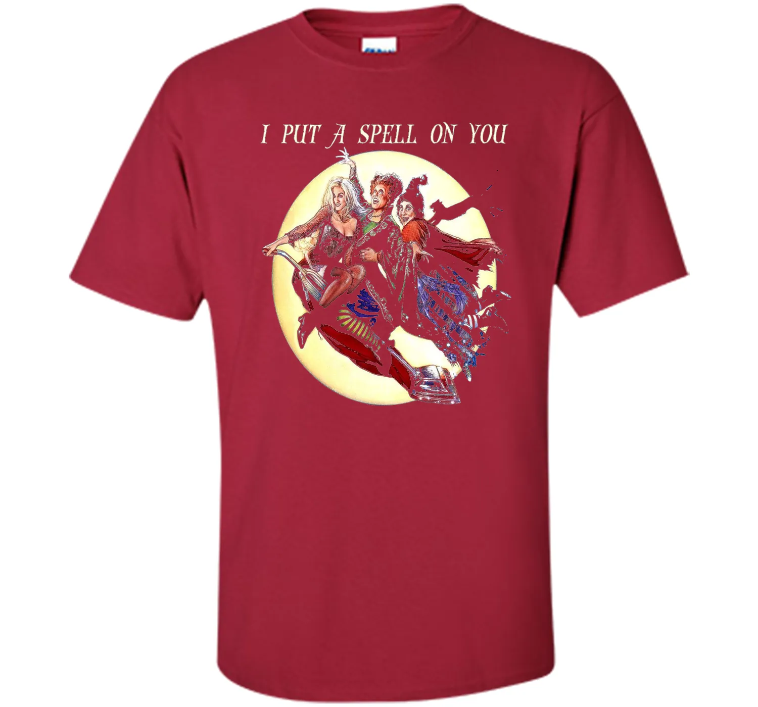 Hocus &amp; Pocus I Put A Spell On You Halloween T-Shirt