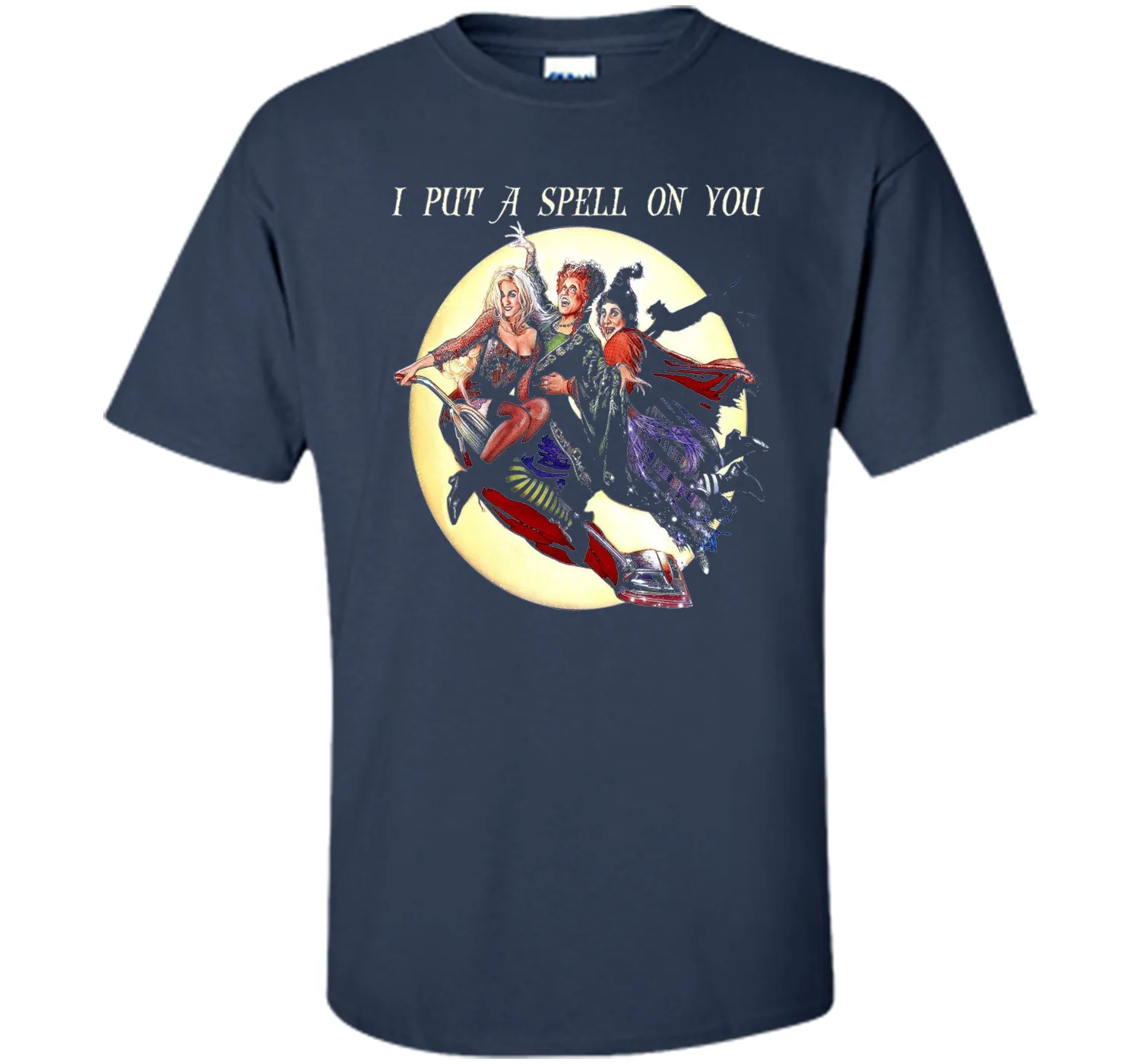 Hocus &amp; Pocus I Put A Spell On You Halloween T-Shirt