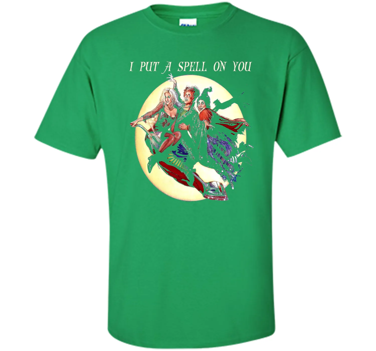 Hocus &amp; Pocus I Put A Spell On You Halloween T-Shirt
