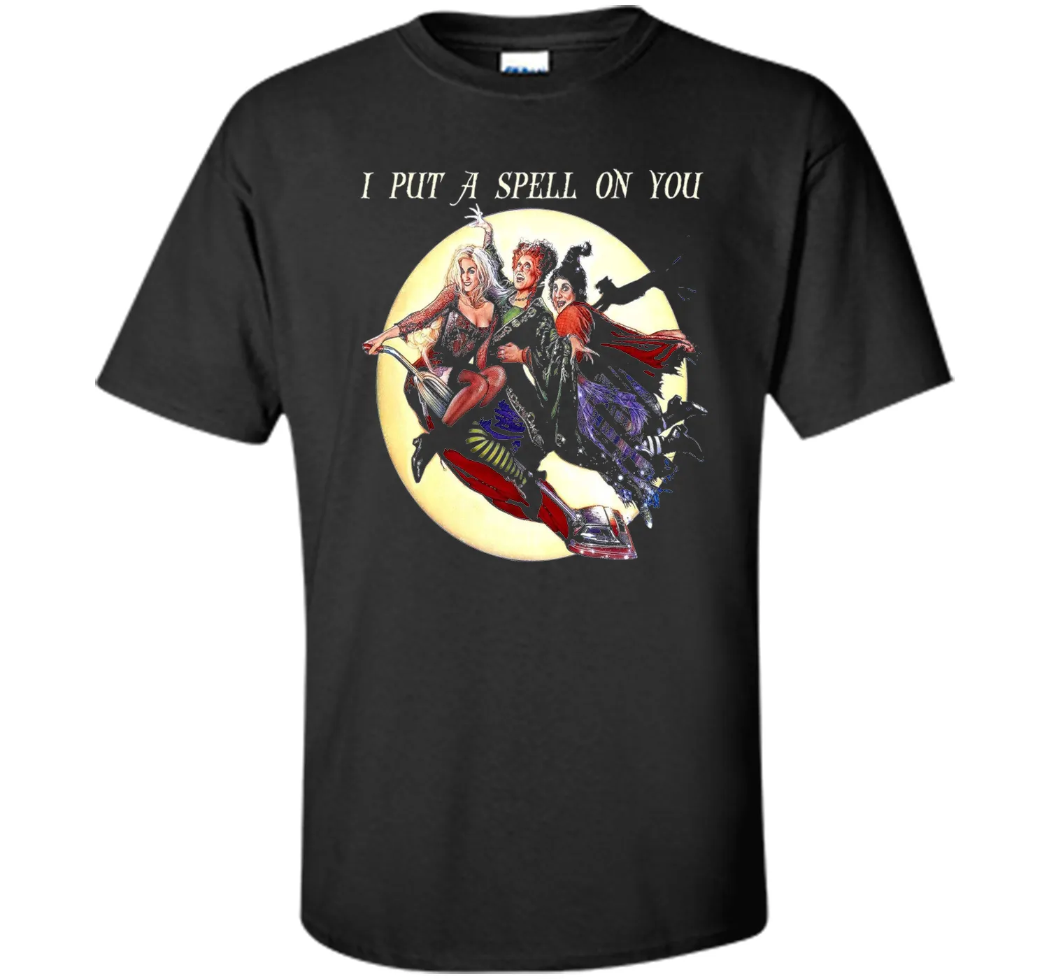 Hocus &amp; Pocus I Put A Spell On You Halloween T-Shirt