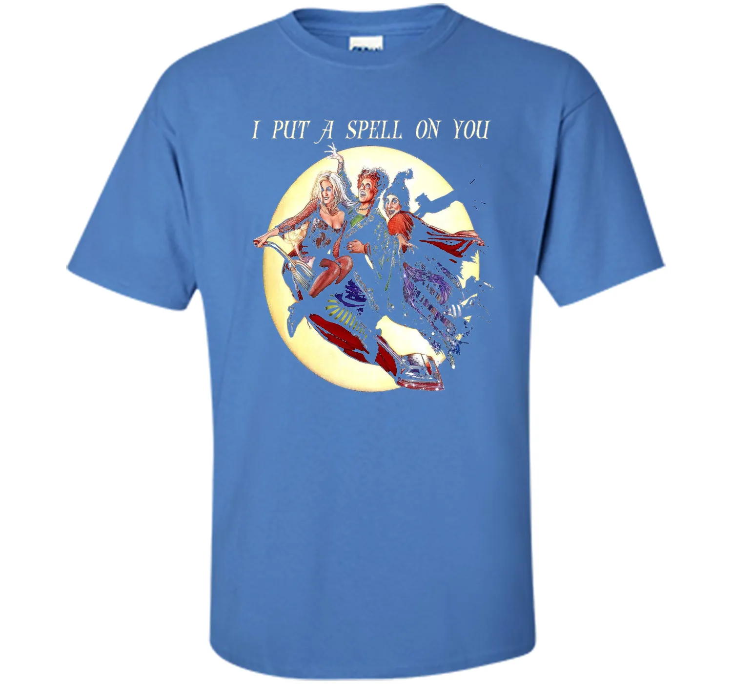 Hocus &amp; Pocus I Put A Spell On You Halloween T-Shirt